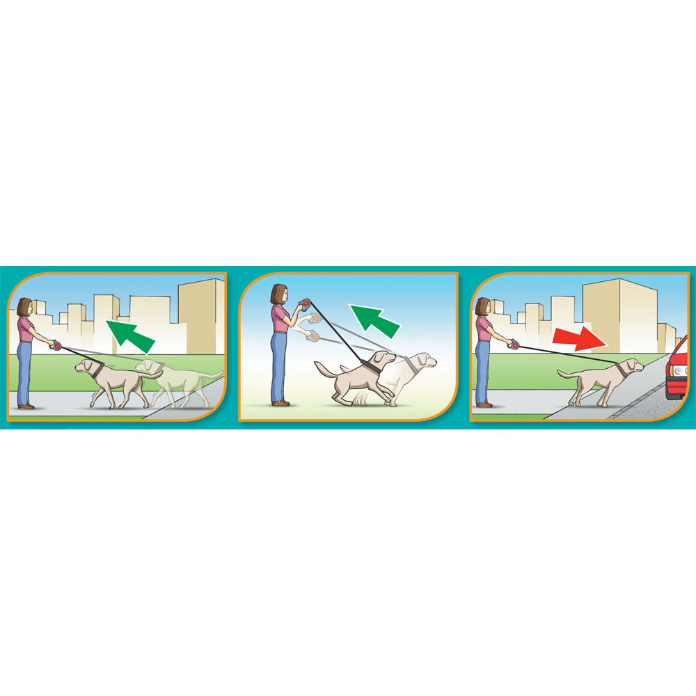 Ferplast Flippy Controller Cord Retractable Lead