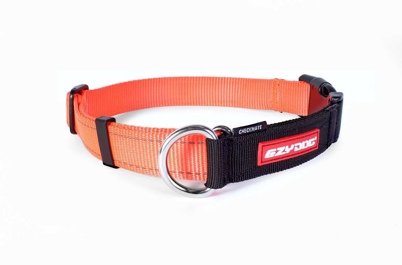 EzyDog Checkmate Dog Collar - Large