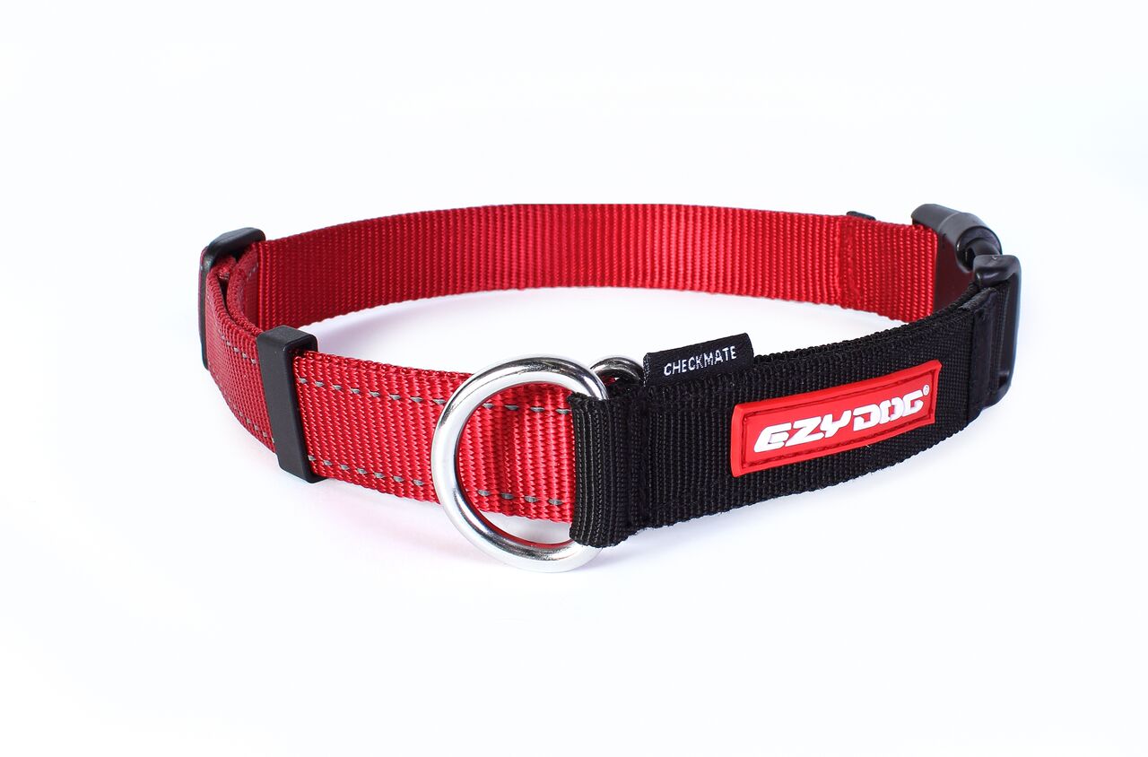 EzyDog Checkmate Dog Collar - Small