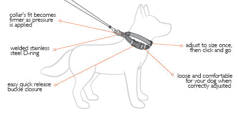 EzyDog Checkmate Dog Collar - Large