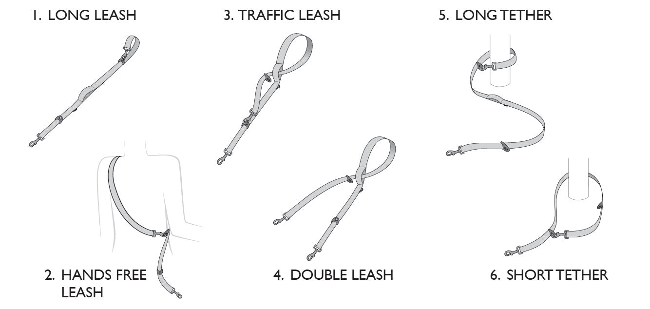 EzyDog Vario 6 Multi-Function Leash With Carabiner