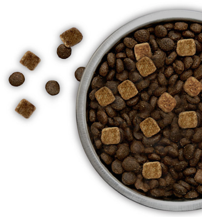 Merrick Backcountry Raw Infused Pacific Catch Recipe Grain Free Dry Dog Food